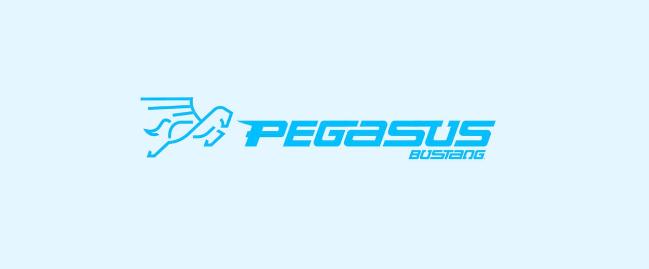 Pegasus - A featured project image showcasing the section details, design elements, and visual highlights.