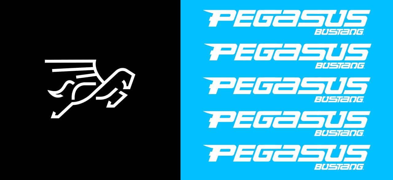 Pegasus - A featured project image showcasing the section details, design elements, and visual highlights.